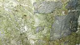 acastle
                          103600.jpg
